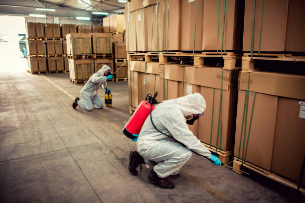 Best Emergency Pest Control  in Sibley, LA