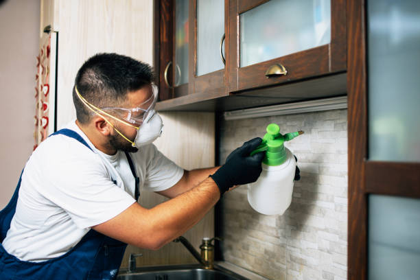Best Emergency Pest Control  in Sibley, LA