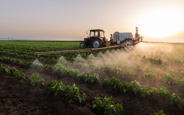 Pest Prevention Services in Sibley, LA