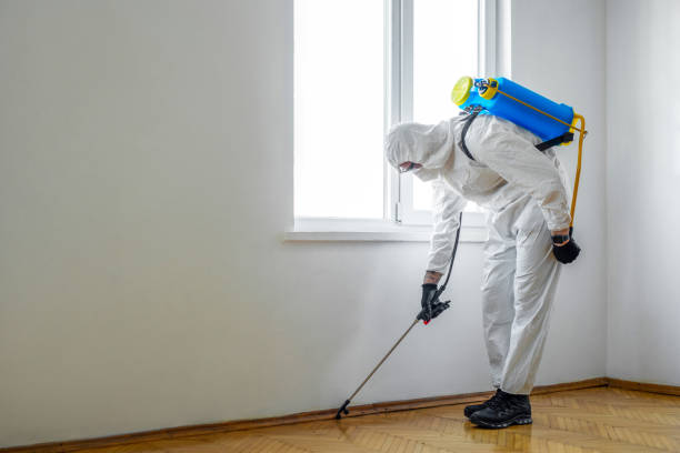 Best Residential Pest Control  in Sibley, LA
