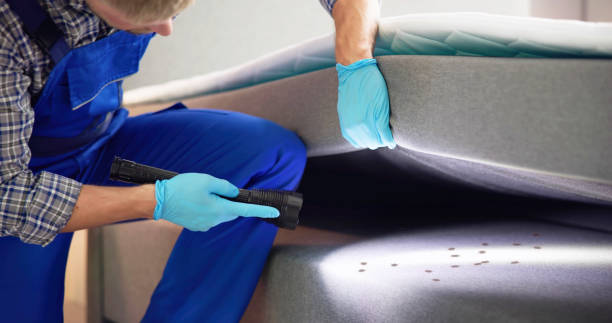 Best Affordable Pest Control Services  in Sibley, LA