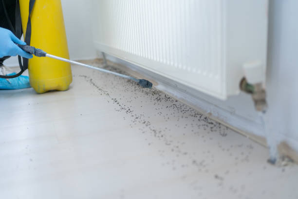 Best Pest Control for Homes  in Sibley, LA